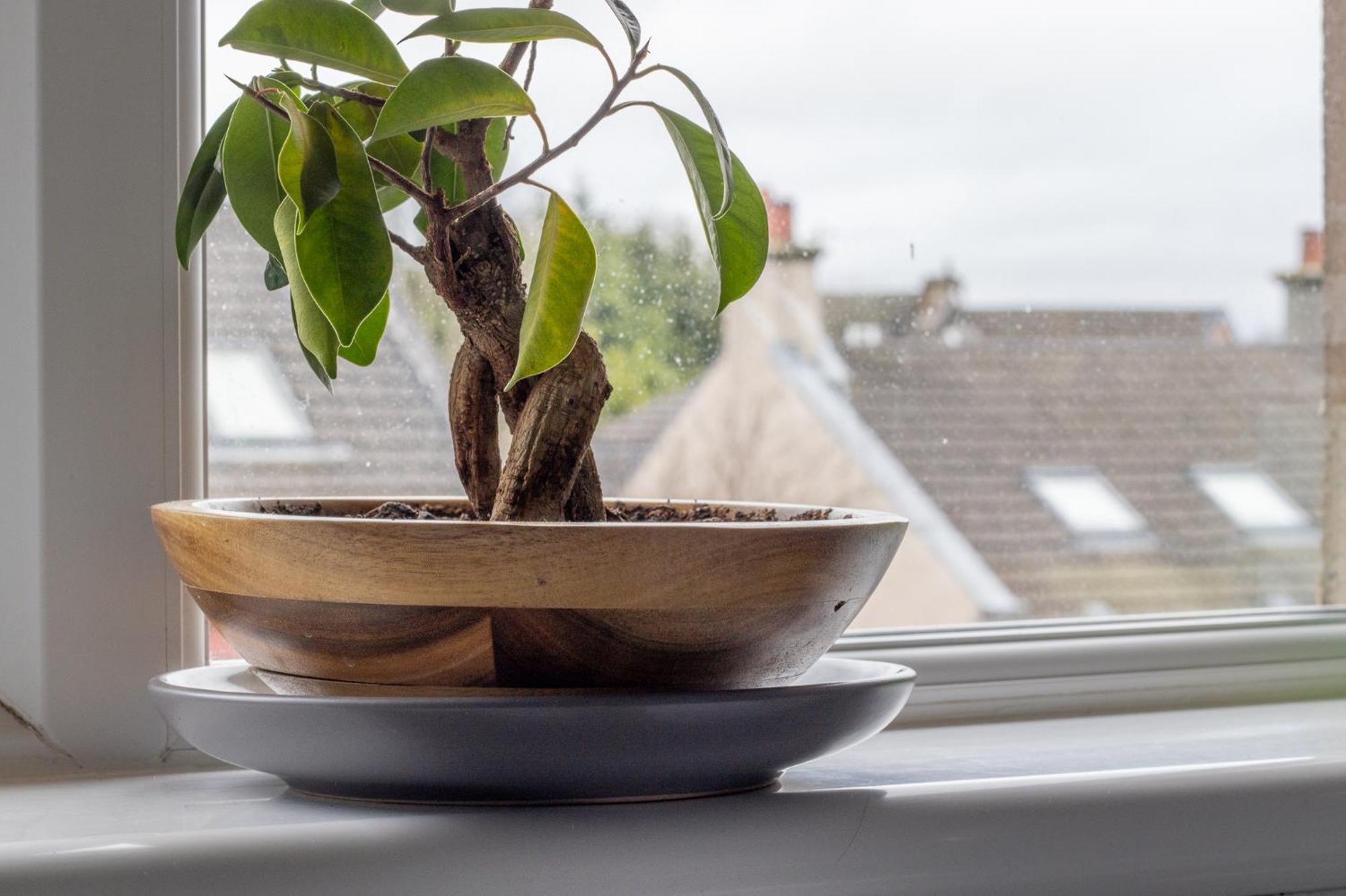 1 Bed Apartment Central Hamilton Free Wifi With Great Transport Links To Glasgow Экстерьер фото
